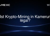 Ist Krypto-Mining in Kamerun légal?