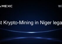 Ist Krypto-Mining in Niger legal?
