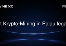 Ist Krypto-Mining in Palau legal?