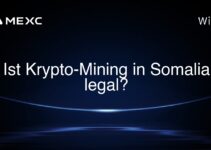 Ist Krypto-Mining in Somalia legal?