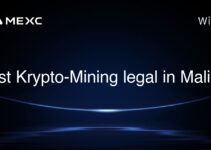 Ist Krypto-Mining legal in Mali?