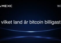 I vilket land är bitcoin billigast?
