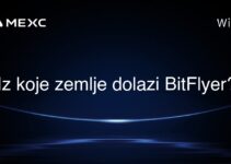 Iz koje zemlje dolazi BitFlyer?