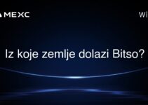 Iz koje zemlje dolazi Bitso?