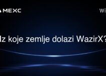 Iz koje zemlje dolazi WazirX?