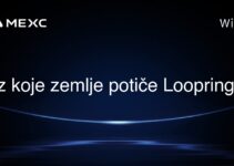 Iz koje zemlje potiče Loopring?