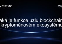 Jaká je funkce uzlu blockchainu v kryptoměnovém ekosystému?