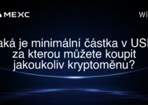 Jaká je minimální částka v USD, za kterou můžete koupit jakoukoliv kryptoměnu?