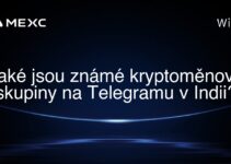 Jaké jsou známé kryptoměnové skupiny na Telegramu v Indii?