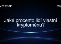 Jaké procento lidí vlastní kryptoměnu?