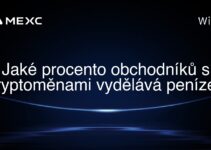 Jaké procento obchodníků s kryptoměnami vydělává peníze?