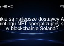 Jakie są najlepsze dostawcy API mintingu NFT specjalizujący się w blockchainie Solana?