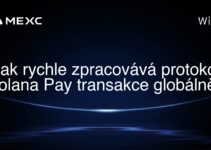 Jak rychle zpracovává protokol Solana Pay transakce globálně?