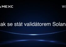 Jak se stát validátorem Solana