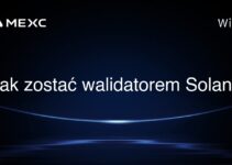Jak zostać walidatorem Solana