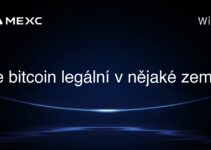 Je bitcoin legální v nějaké zemi?