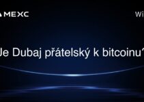 Je Dubaj přátelský k bitcoinu?