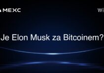 Je Elon Musk za Bitcoinem?