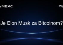 Je Elon Musk za Bitcoinom?