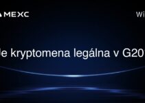 Je kryptomena legálna v G20?