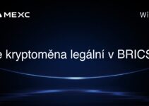 Je kryptoměna legální v BRICS?