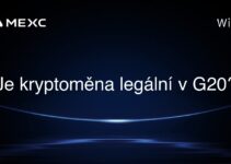 Je kryptoměna legální v G20?