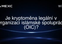 Je kryptoměna legální v Organizaci islámské spolupráce (OIC)?