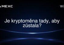 Je kryptoměna tady, aby zůstala?
