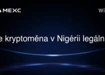 Je kryptoměna v Nigérii legální?