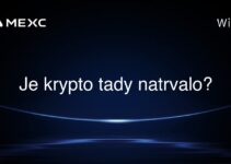 Je krypto tady natrvalo?