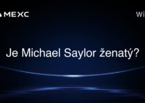 Je Michael Saylor ženatý?