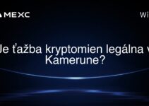 Je ťažba kryptomien legálna v Kamerune?