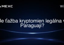 Je ťažba kryptomien legálna v Paraguaji?