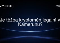 Je těžba kryptoměn legální v Kamerunu?