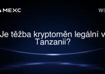 Je těžba kryptoměn legální v Tanzanii?