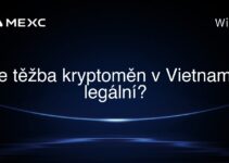 Je těžba kryptoměn v Vietnamu legální?