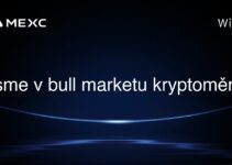 Jsme v bull marketu kryptoměn?