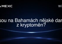 Jsou na Bahamách nějaké daně z kryptoměn?
