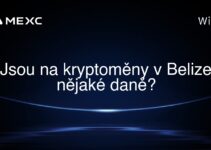 Jsou na kryptoměny v Belize nějaké daně?