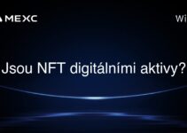 Jsou NFT digitálními aktivy?