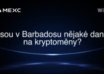 Jsou v Barbadosu nějaké daně na kryptoměny?