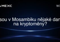 Jsou v Mosambiku nějaké daně na kryptoměny?