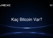 Kaç Bitcoin Var?