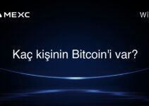 Kaç kişinin Bitcoin’i var?