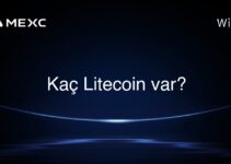 Kaç Litecoin var?