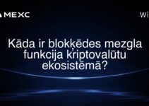 Kāda ir blokķēdes mezgla funkcija kriptovalūtu ekosistēmā?