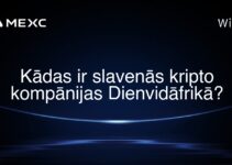 Kādas ir slavenās kripto kompānijas Dienvidāfrikā?