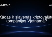 Kādas ir slavenās kriptovalūtu kompānijas Vjetnamā?