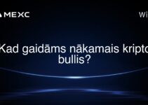 Kad gaidāms nākamais kripto bullis?