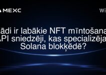 Kādi ir labākie NFT mīntošanas API sniedzēji, kas specializējas Solana blokķēdē?